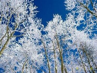 Winter Landscapes Screensaver