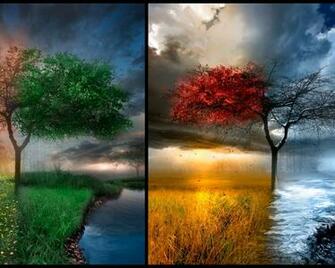 Fall Winter Wallpaper Background