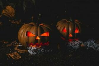Brown Pumpkin Head Decors HD Wallpaper