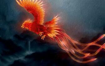 Phoenix Flight In Rain Wallpaper HD