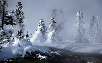 Winter Forest In Cloudy Weather Wallpaper And Image
