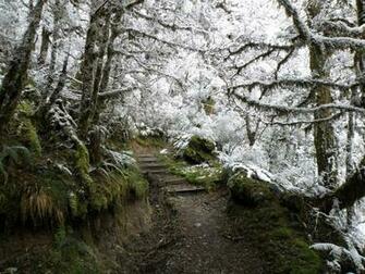 Trail Running Wallpaper From Richard In