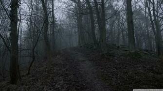 Dark Forest Wallpaper