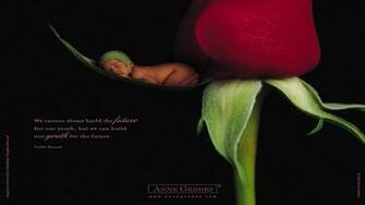 Anne Geddes Wallpaper Babies Color