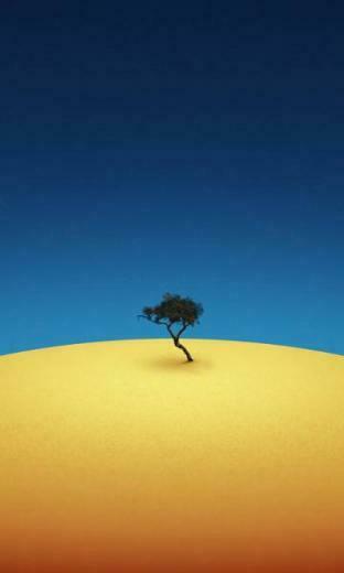 Smartphone Wallpaper Gallery Windows Phone