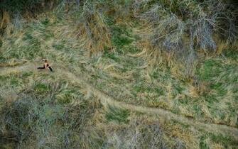 Rave Run Wallpaper Runnersworld Where To