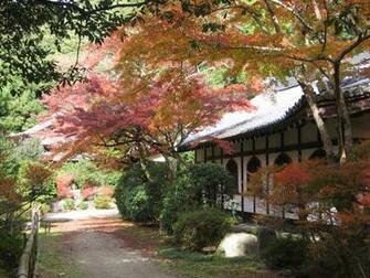 Japan Wallpaper And Image Japanese Temple Scenery