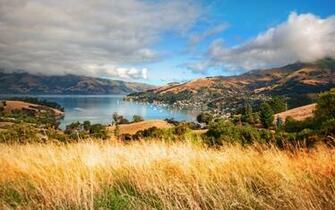 Summer Landscape Wallpaper Stock Photos
