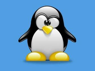 Penguins Wallpaper Computer Desktop