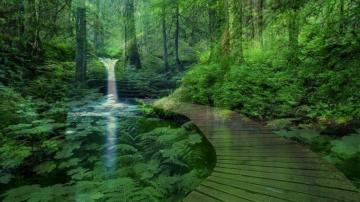Peaceful Zen Wallpaper Top Background