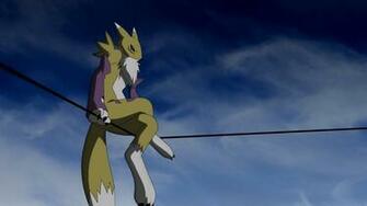 Yellow And White Pokemon Rabbit Character Anthro Renamon Wall