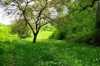 Most Beautiful Summer S Nature Wallpaper Stocks