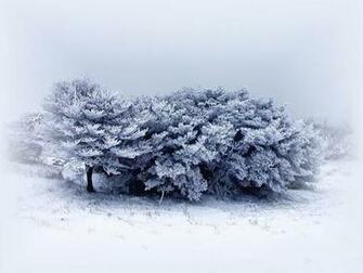Desktop Wallpaper Gallery 3d Art Snow Tale Background