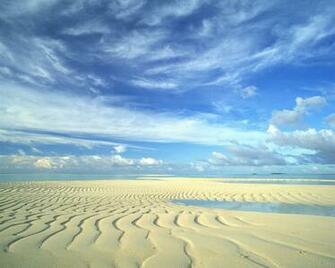Beach Wallpaper Screensaver Pre Id