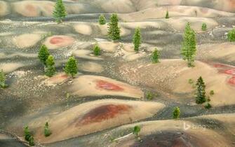 Painted Dunes Below Cinder Cone Lassen Volcanic National Park