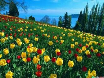 Natural Scenery Wallpaper Pic