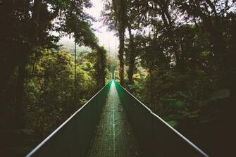 Monteverde Wallpaper