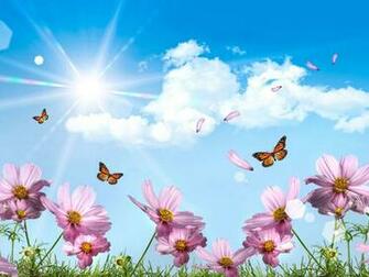 Extreme Flower Wallpaper HD Desktop Background
