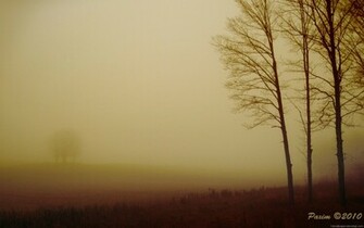 HD Wallpaper Wide New Jpg
