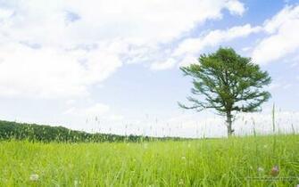 Sunny Bright Day Wallpaper Size Amazingpict HD