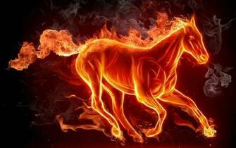 HD Wallpaper Animal Fire Horse Computer Background By