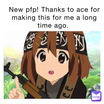 Meme Pfp Wallpaper