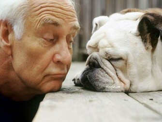 Funny Animals Wallpaper For Desktop World