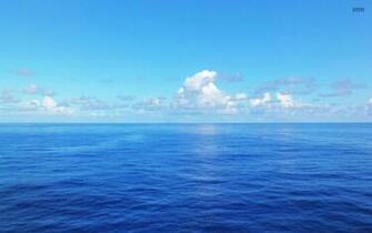 Celebrate World Oceans Day And Raise Ocean