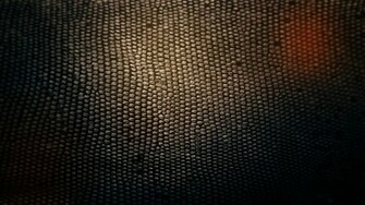 Snake Skin Wallpaper