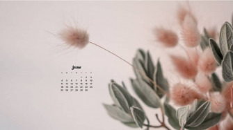 June Wallpaper Bies For Desktop Phones