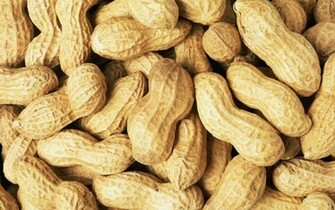 Peanut Computer Wallpaper Desktop Background Id
