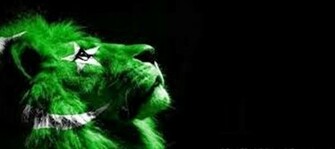 HD Wallpaper And Photos Pakistan Flag