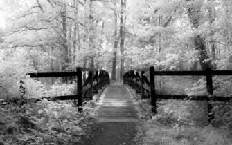 Black And White Shifted Reality