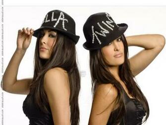 HD Wallpaper Bella Twins