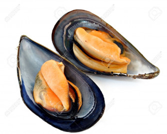 Mussels Wallpaper Food Hq Picture
