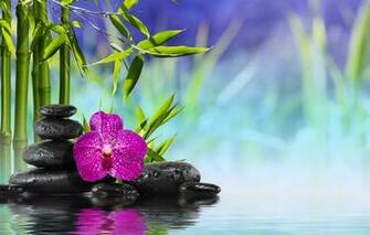 Wallpaper Spa Zen Stones Bamboo Flower Orchid Water Reflection