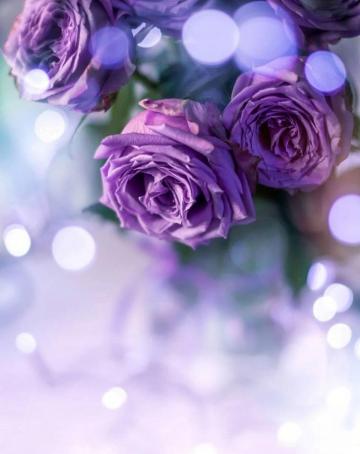 Don T Wait Life Goes Faster Than You Think In Beautiful