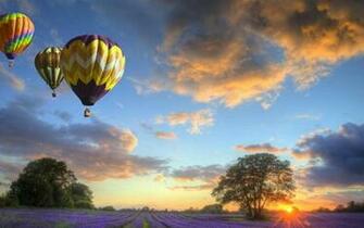 Colorful Hot Air Balloons Over Lavender Fields Hq Wallpaper