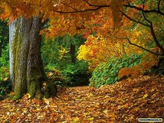 Beautiful Autumn Season Wallpaper HD Nice