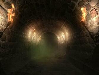 Descending To The Dungeon Infocus