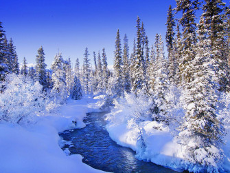 Snow Wallpaper