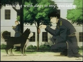 Roy Mustang8 Mustang Wallpaper