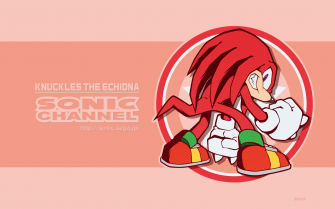 Knuckles The Echidna Wallpaper