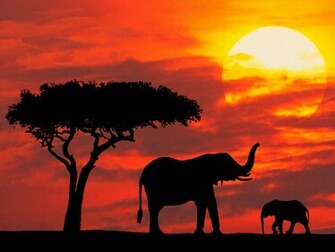 Africa Kenya Wallpaper Prints