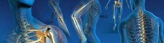 Lupine Publishers Sports Medicine Open Access Journal