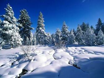 Wallpaper Snow