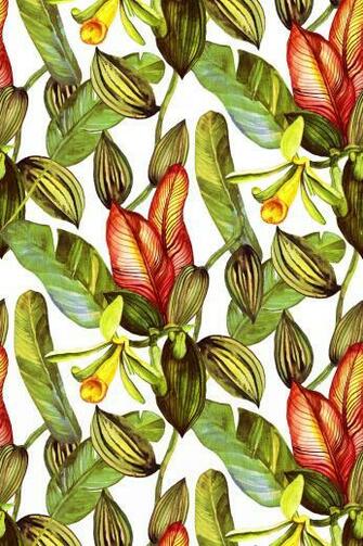 Man Eater Cara Saven Wall Design Carasaven