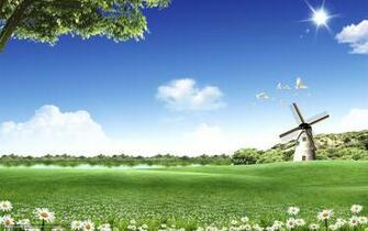 Wallpaper Lawn Windmill Pigeons Desktop In