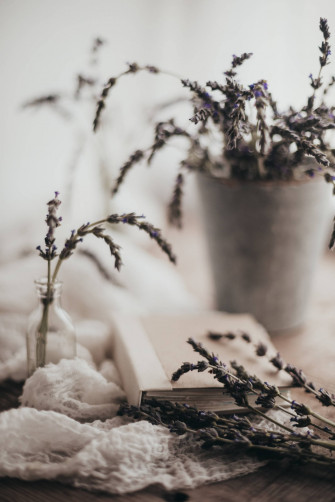 Book Aesthetic Wallpaper