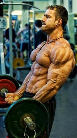 Gym Motivation Mobile HD Wallpaper Walls